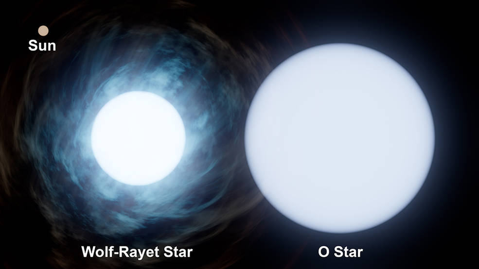 Une étoile Wolf-Rayet est une étoile de type O, née avec au moins 25 fois plus de masse que notre Soleil, qui approche de la fin de sa vie, quand elle va probablement s'effondrer et former un trou noir. Brûlant plus que dans sa jeunesse, une étoile Wolf-Rayet génère des vents puissants qui poussent d'énormes quantités de gaz dans l'espace. L'étoile Wolf-Rayet de cette paire particulière peut avoir perdu plus de la moitié de sa masse d'origine via ce processus. Bleu7.com
