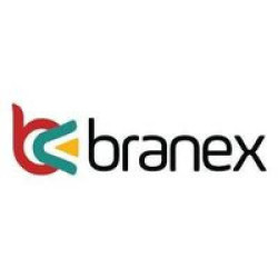 Branex - Top Custom Software Development Company USA