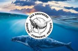 Serving as the only fleet in the world whose sole purpose is to protect all marine wildlife, we are committed to the protection and enforcement of conservation law. Bleu7.com