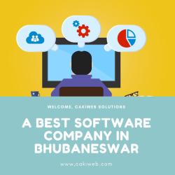 Best Software Company in Bhubaneswar (Cakiweb Solutions)